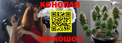 a pvp Отрадное