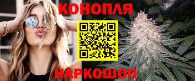 a pvp Отрадное
