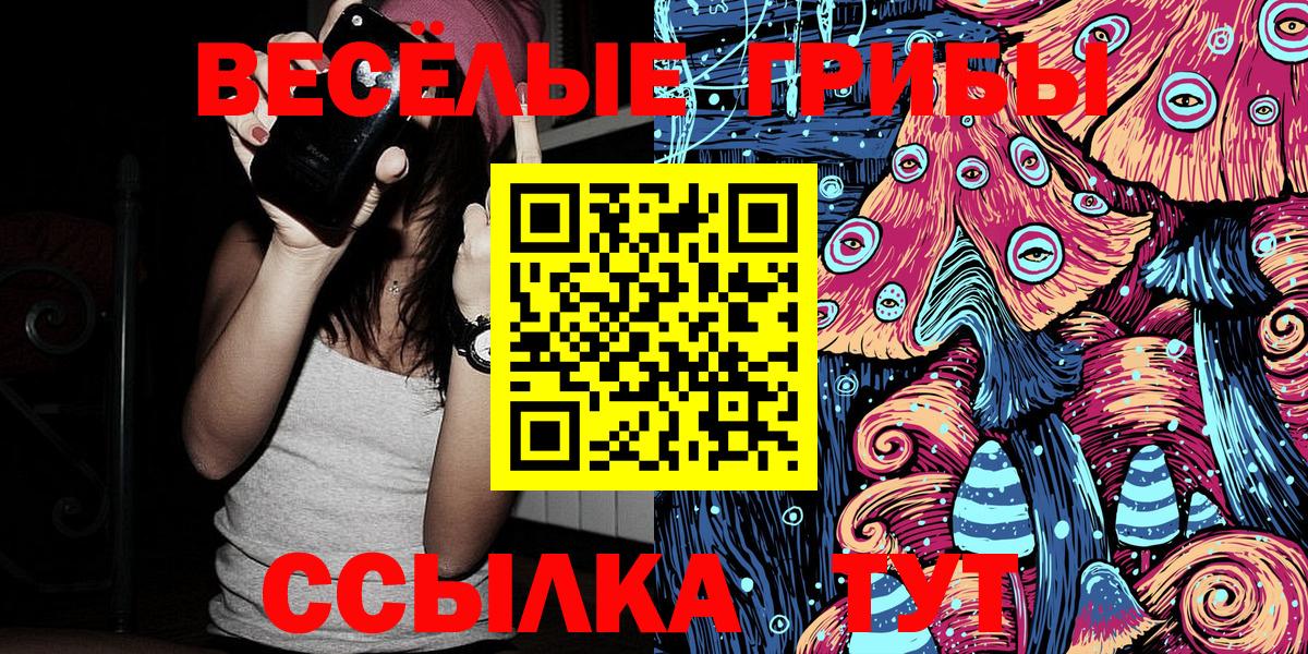 Артём  Псилоцибиновые грибы Psilocybine cubensis  Вход с VPN  Псилоцибиновые грибы GOLDEN TEACHER 