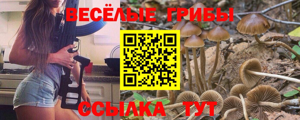 Галлюциногенные грибы прущие грибы Артём